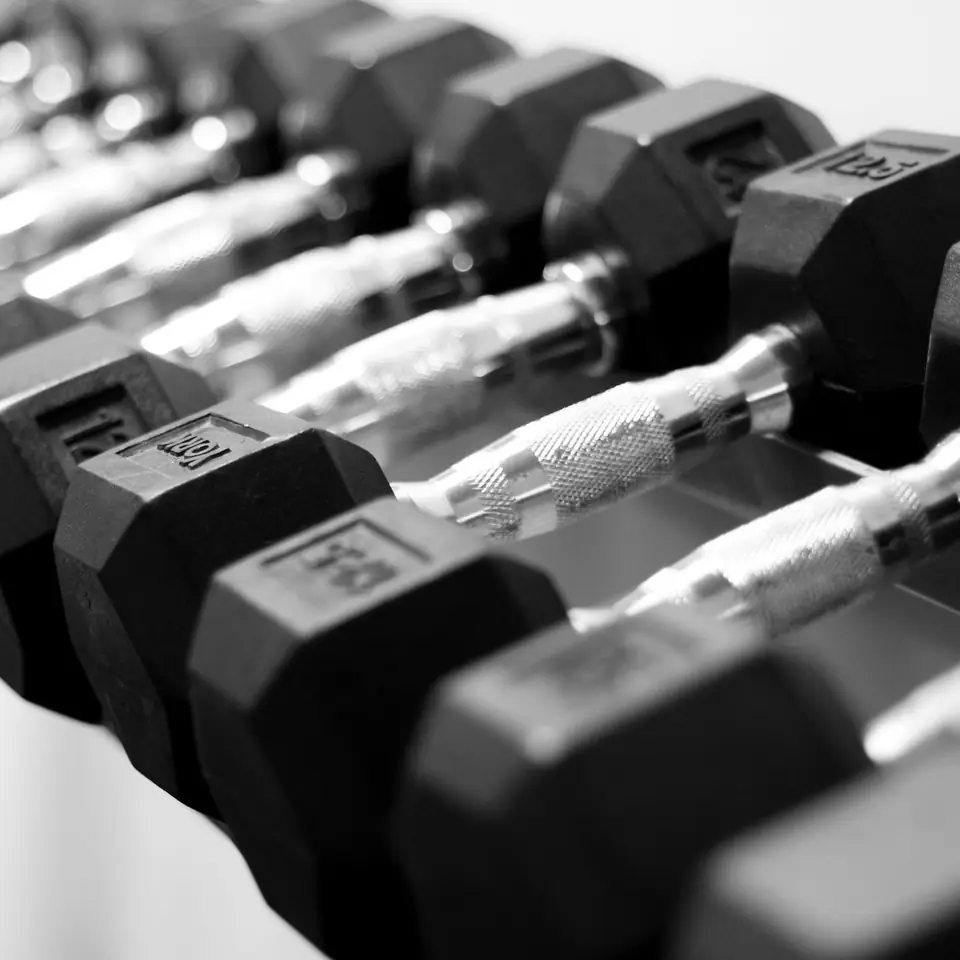 A rack of dumbbells in a gym